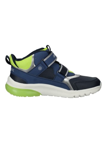 Geox Sneaker in Navy/Lime