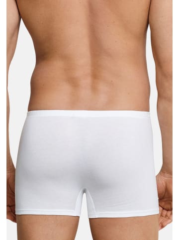 Schiesser Shorts Cotton Essentials in Weiß