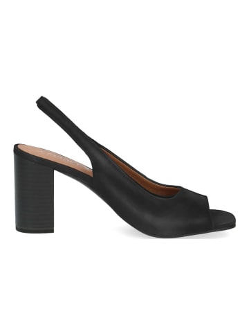 Caprice Pumps in Schwarz