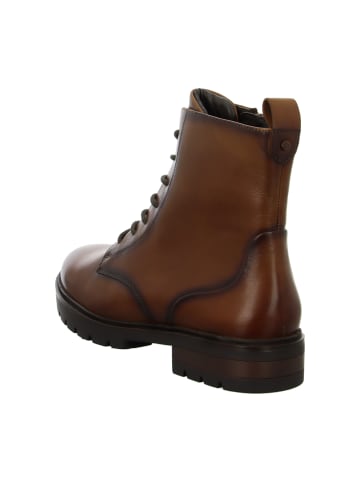 ara Schnürstiefeletten in Braun
