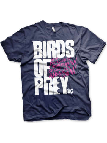 DC Birds Of Prey T-Shirt in Blau