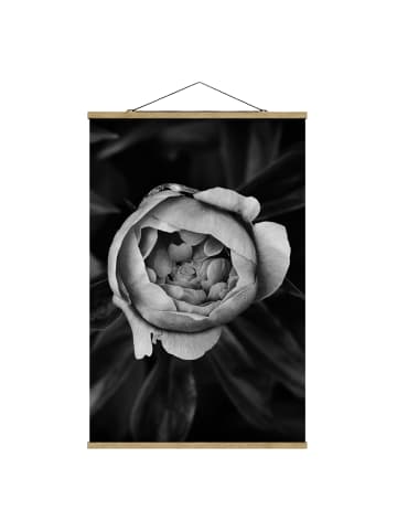 WALLART Stoffbild - Pfingstrosenblüte vor Blättern Schwarz Weiß in Schwarz-Weiß