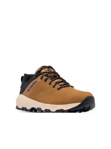 Columbia Trekkingschuhe Newton in Schwarz