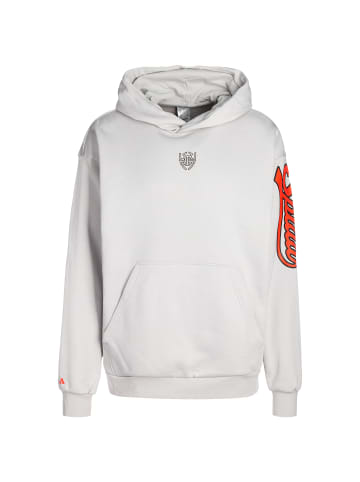 adidas Performance Hoodie D.O.N. Select in hellgrau