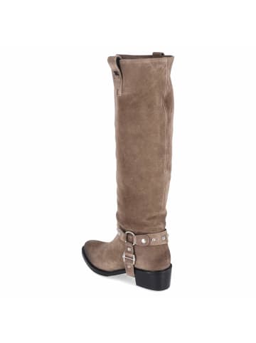 Lazamani Schaftstiefel in taupe