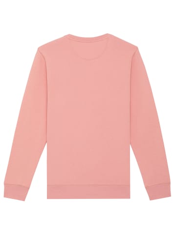 wat? Apparel Sweatshirt Rainbow Cassette in Canyon Pink