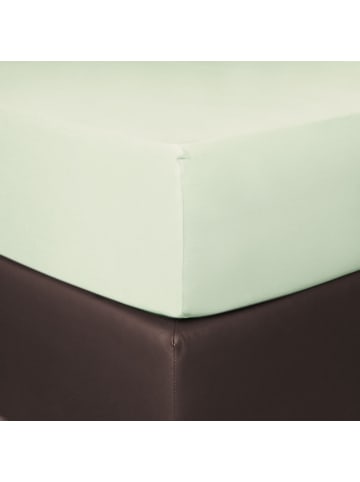 BettwarenShop Spannbettlaken Boxspring in mint