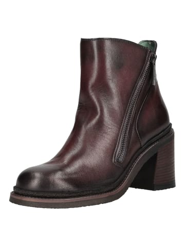 Felmini Stiefelette in Bordeaux