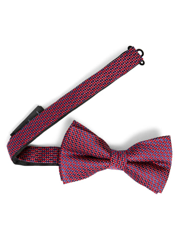 Andrew James Fliege in bordeaux indigo - 0001