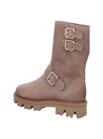 Paul Green Stiefelette in beige