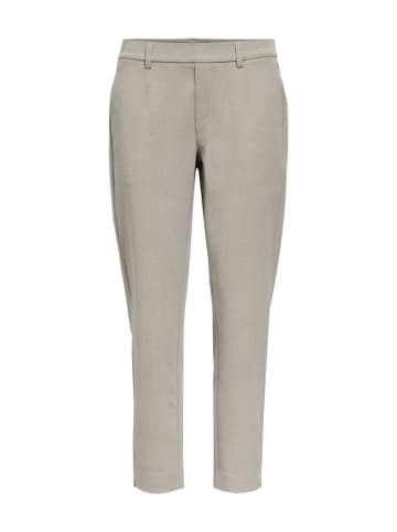 Object Hose in humus