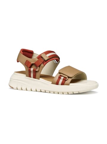 Geox Trekkingsandalen in Beige