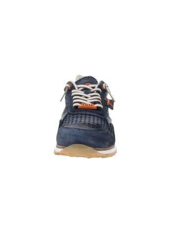 Cetti Sneaker low C-848 EXP V25 in Blau