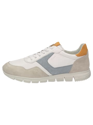 Sioux Sneaker Mokrunner-H-019 in beige