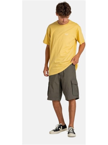 Reell Short "New Cargo Short" in Grün