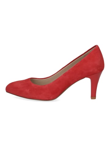 Caprice Pumps in Rot