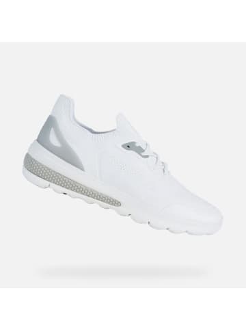 Geox Schnürschuh in weiss