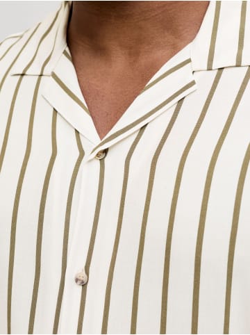 JACK & JONES PLUS Hemd in Dusty Olive