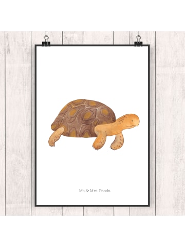 Mr. & Mrs. Panda Poster Schildkröte MHerzieren ohne Spruch in Weiß
