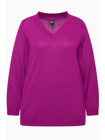 Ulla Popken Pullover in beere
