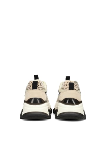 POSH by Poelman POSH by Poelman POLLY Damen Sneaker