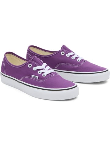 Vans Sneaker "Authentic" in Lila