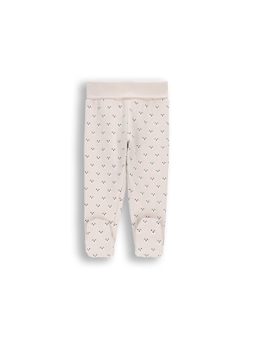 Coccodrillo Baumwollschlafanzug in grau