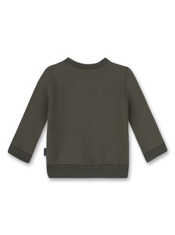 Sanetta Sweatshirt in Grün