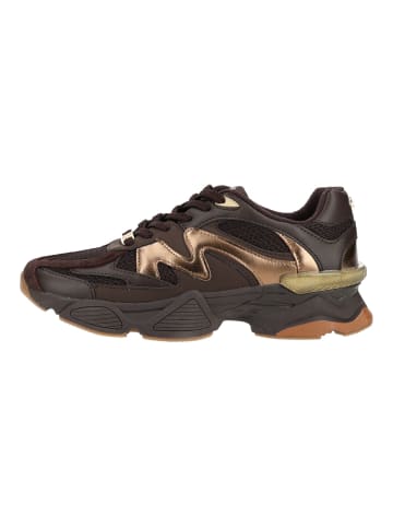 Steve Madden Sneaker SPEEDER in Chocolate