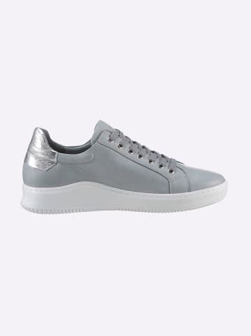 Andrea Conti Sneaker in blaugrau