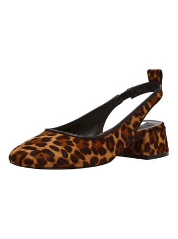 Steve Madden Pumps in Leopard