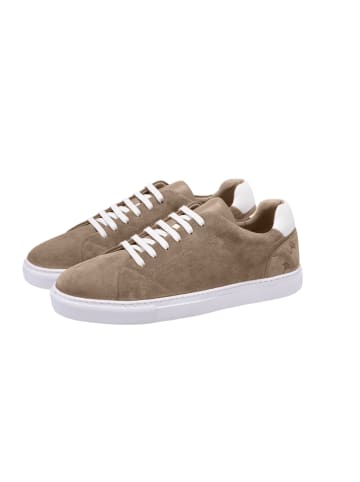 JOOP! Sneaker 'Velo Stampa Cody in Portabella'