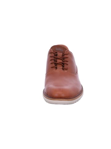 Skechers Schnürer Mako in Braun