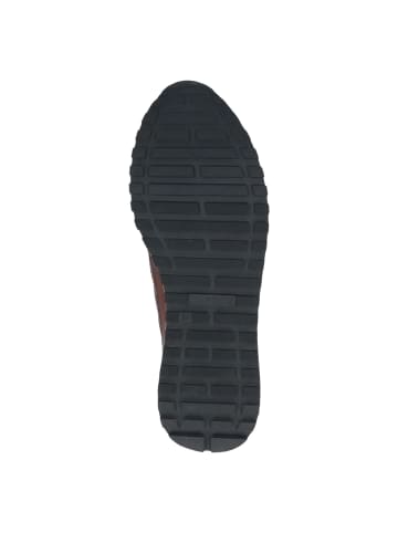 Caprice Sportliche Schnürschuhe in Braun