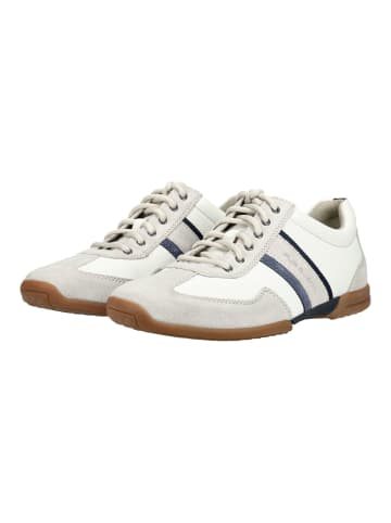 Pius Gabor Sneaker Weiß/Blau