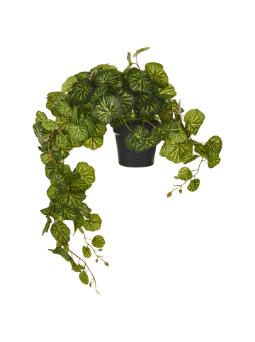 Beliani Kunstpflanze STRAWBERRY BEGONIA in Grün/Schwarz - (W) 28 x (H) 37 x (L) 28 cm