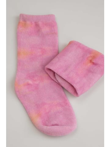 Coccodrillo Socken in bunt
