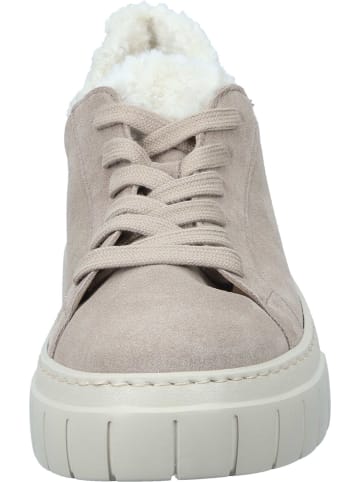 Gabor Sneakers Low in desert/panna