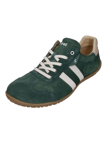 KOEL Sneaker Low ILO SUEDE in grün