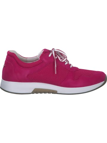 Gabor Sneakers Low in FUXIA