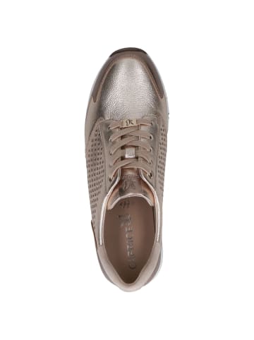 Caprice Sneaker in TAUPE MET.COMB