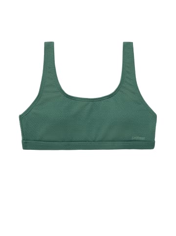 Protest " PRTRose JR in Veggie Green