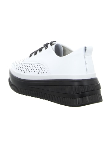 Artiker Plateau Schnürschuhe in Weiß