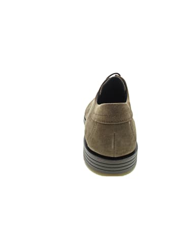 LLOYD Tambo Businessschuh Braun