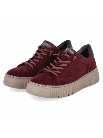 Gabor Low Sneaker in rot