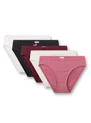 Sanetta Slip 5er Pack in Weiß//Pink