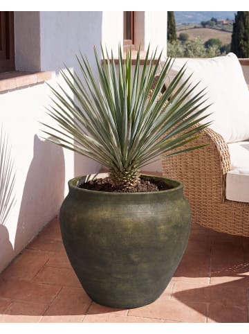Beliani Outdoor Blumentopf THERISO in Grün - (W) 54 x (H) 49 x (L) 54 cm
