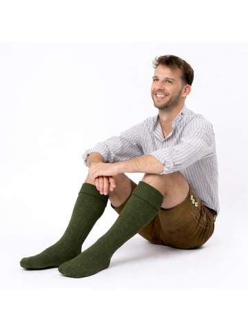 Occulto 1er Pack Lange Trachtensocken Silberdistel in Grün