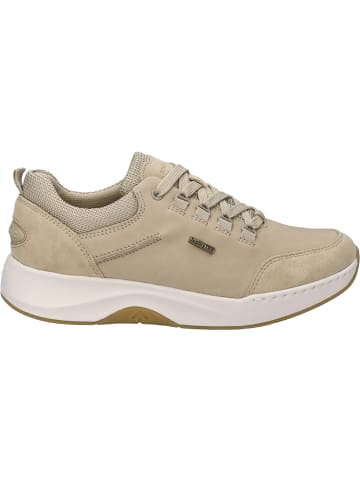 Josef Seibel Sneaker Elli 50 in beige