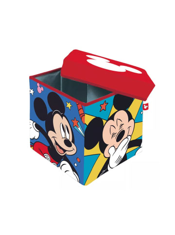 Disney Mickey Spielspeicher 30×30×30 cm